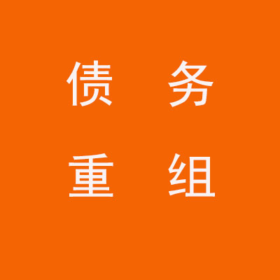 环江个人债务重组优化